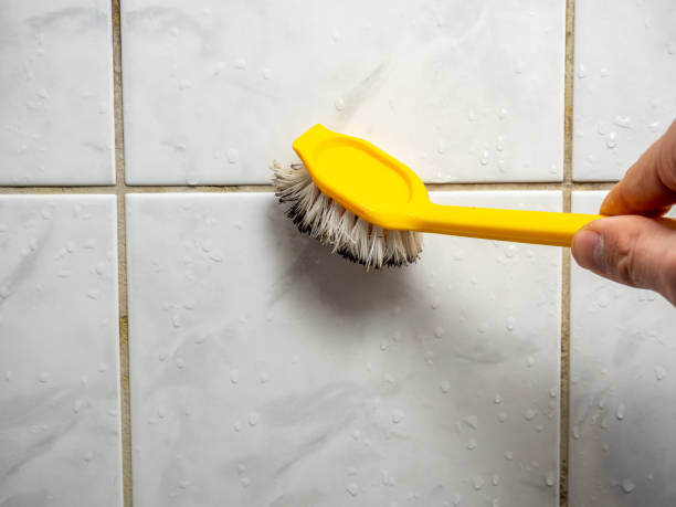 Best Insurance-Related Mold Remediation in Carrollton, TX